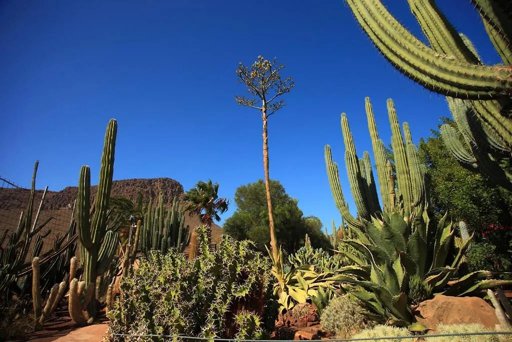 Sunny Bungalow With Garden #1 Maspalomas