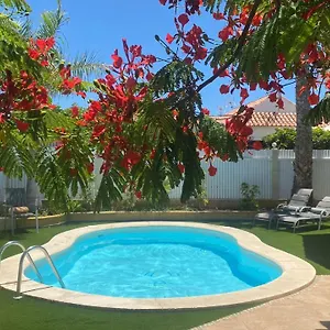  Villa World